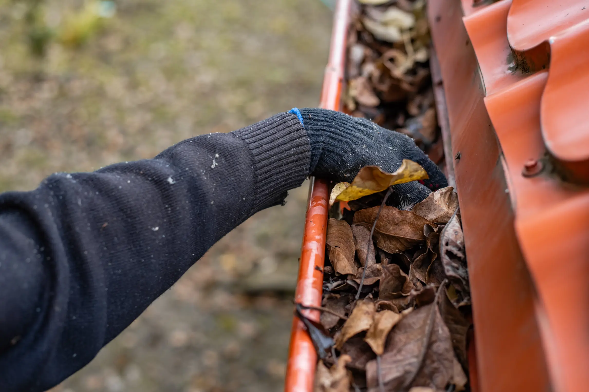 Professional gutter cleaning service for Glendale, CA homes by Skip & Biff Window Cleaning
