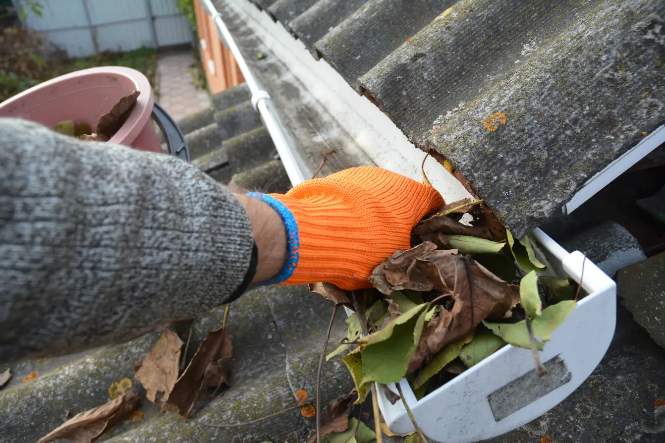 Cleaning gutter leaves in Glendale, CA as part of complete exterior maintenance services