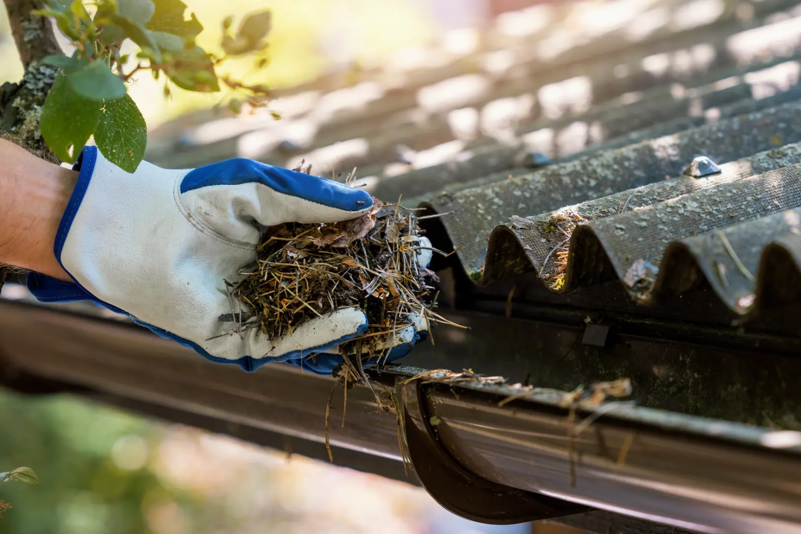 Roof gutter cleaning service in Glendale, CA for improved home exterior maintenance